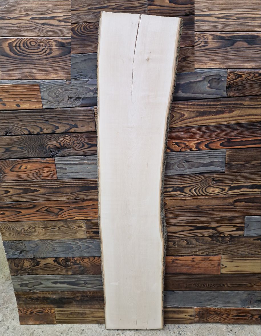 Atypická fošna jasan 145cm