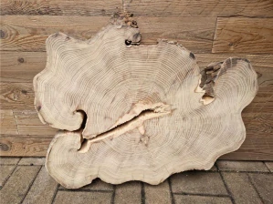 Atypický akát velikost 72cm