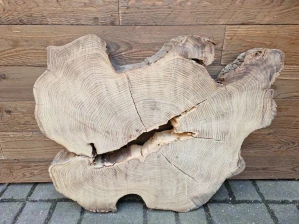 Atypický akát velikost 73cm