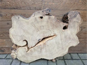 Atypický akát velikost 76cm