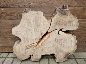 Atypický akát velikost 69cm