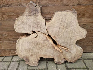 Atypický akát velikost 68cm