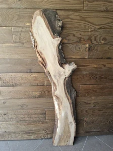 Fošna ořech 103cm