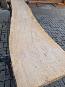 Fošna jasan 283cm