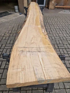 Fošna z jasanu 282cm
