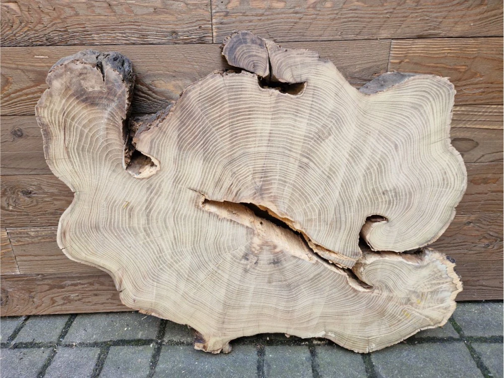 Atypický akát velikost 76cm