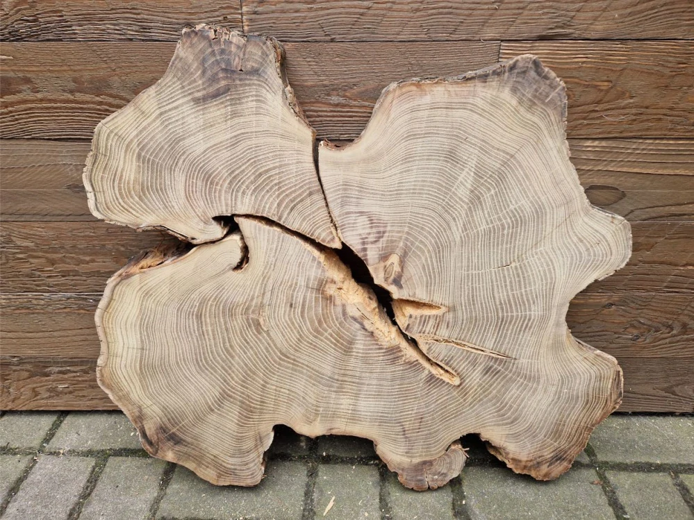 Atypický akát velikost 69cm