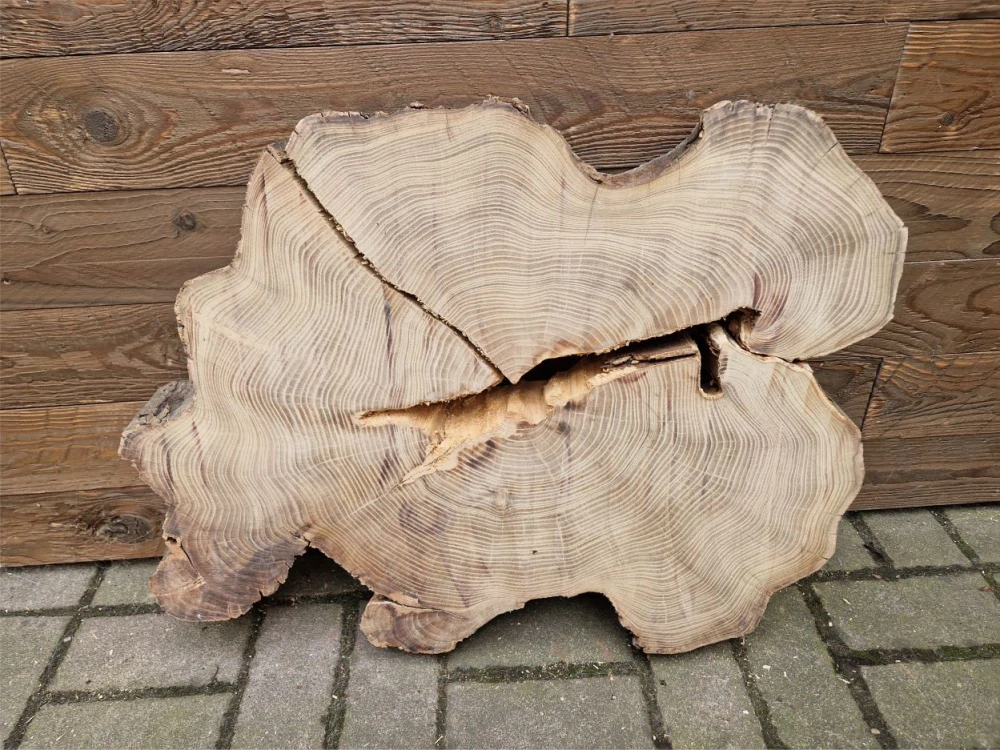 Atypický akát velikost 73cm