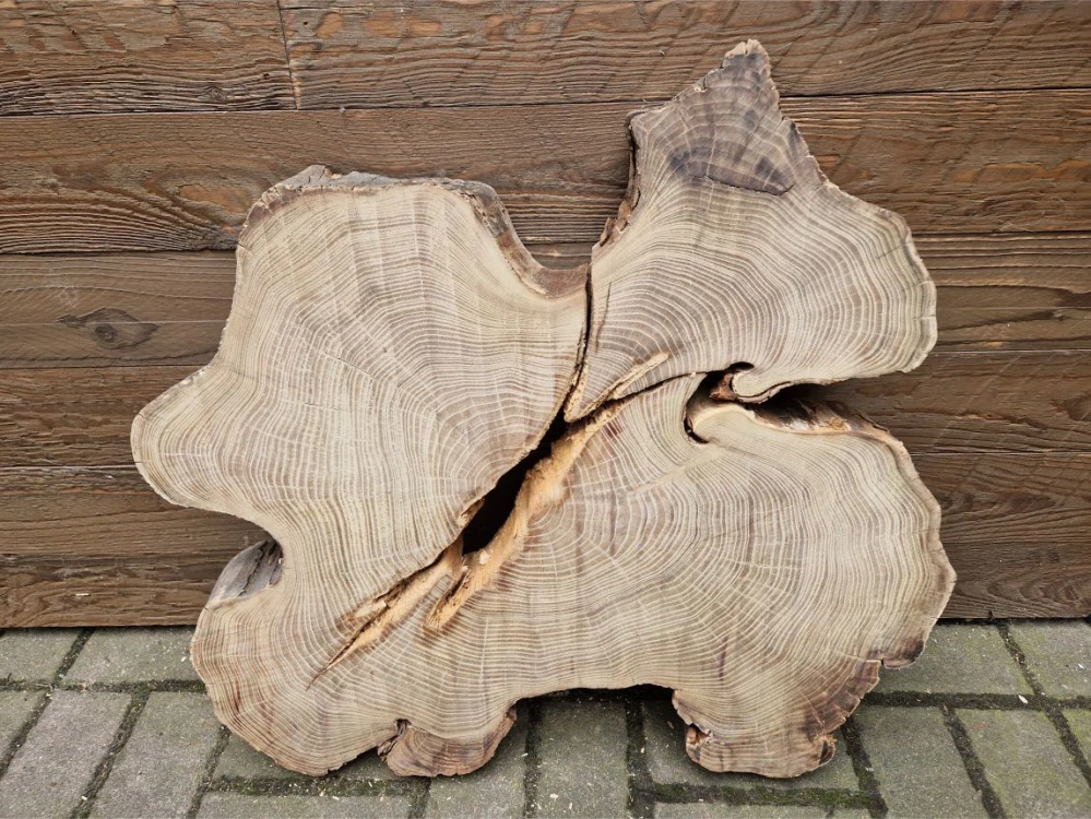 Atypický akát velikost 68cm