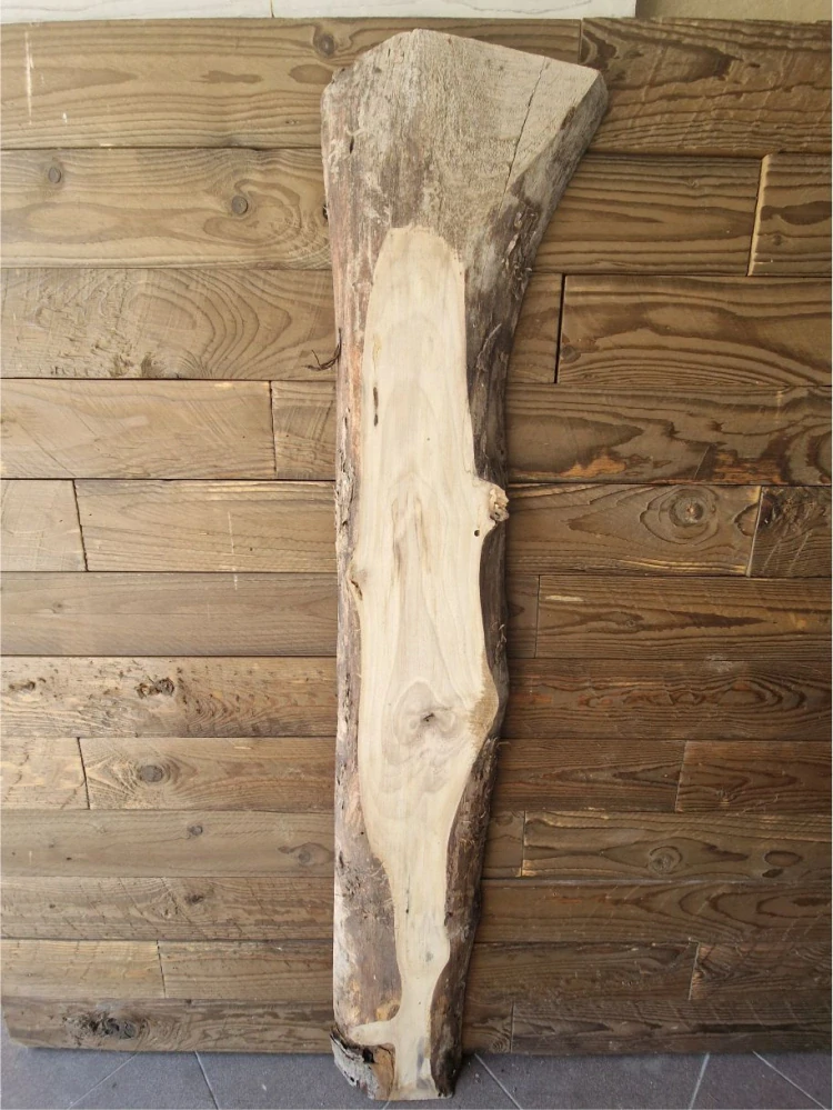 Fošna ořech 122cm