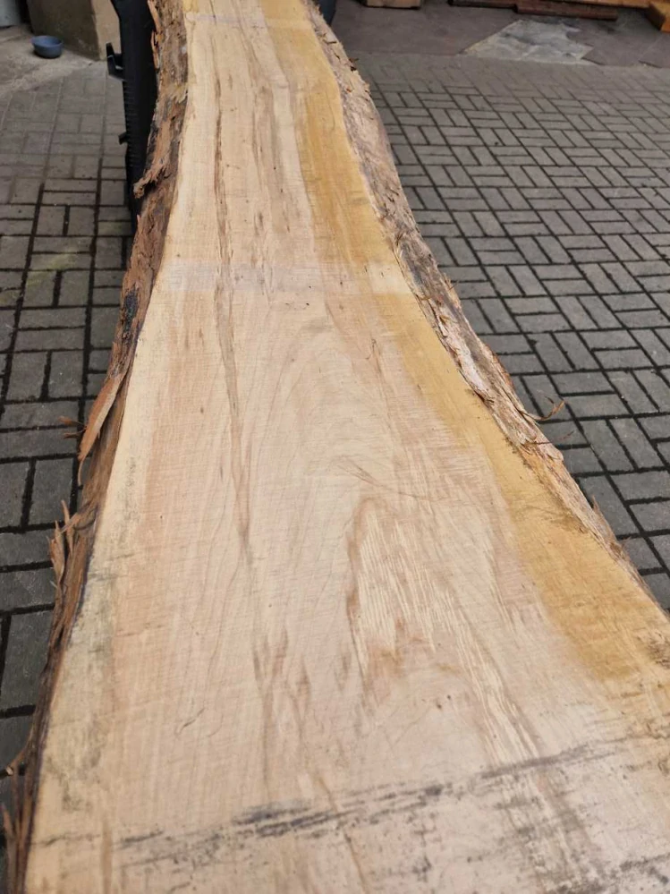 Fošna z jasanu 282cm