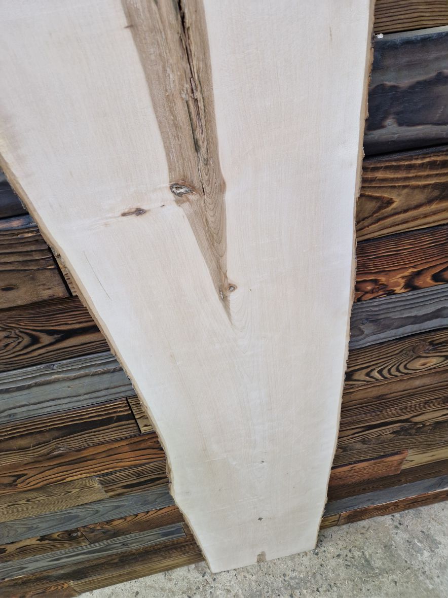 Atypická fošna jasan 145cm