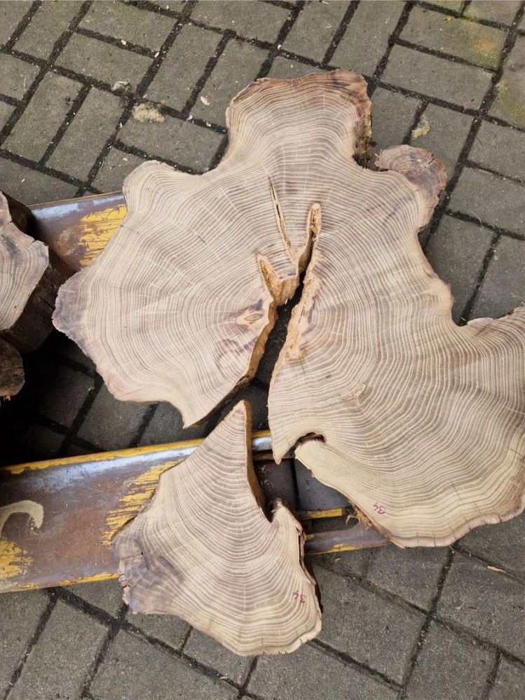 Atypický akát velikost 69cm