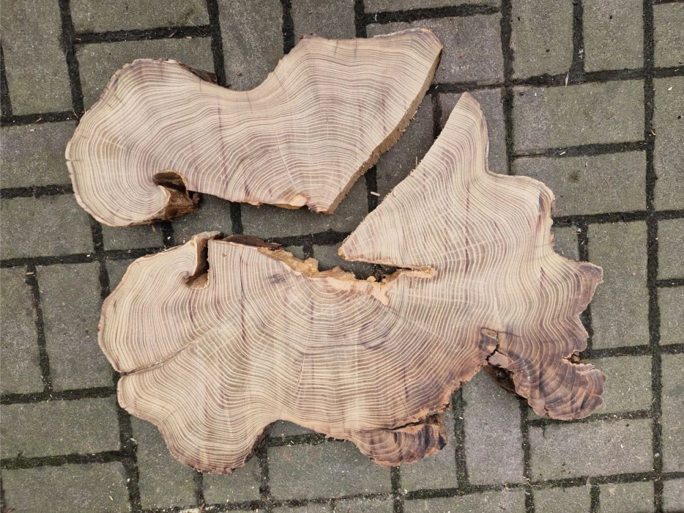 Atypický akát velikost 73cm