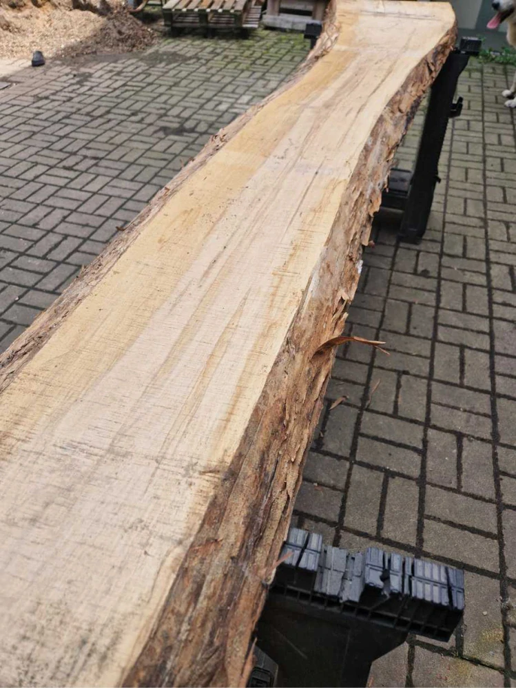 Fošna z jasanu 282cm