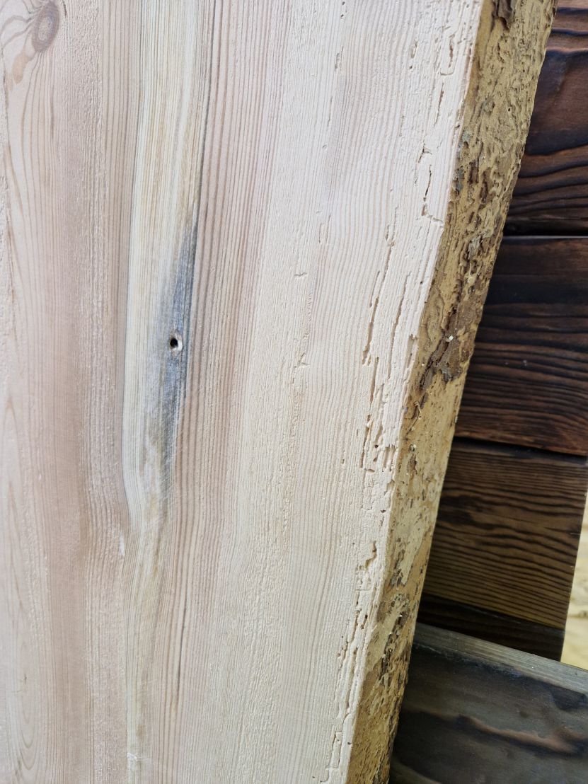 Atypická fošna borovice