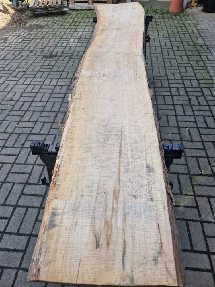 Fošna jasan 283cm