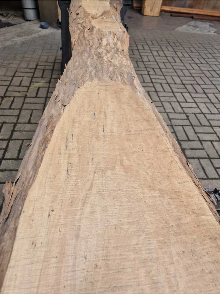 Fošna z jasanu 302cm