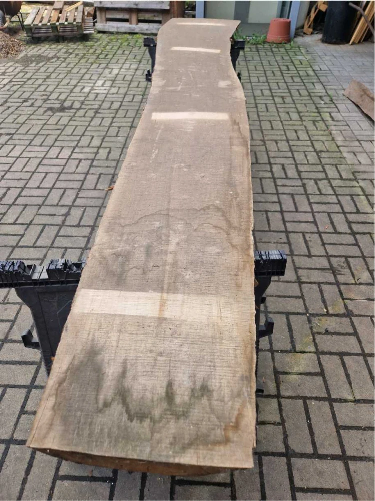 Fošna z jasanu 282cm