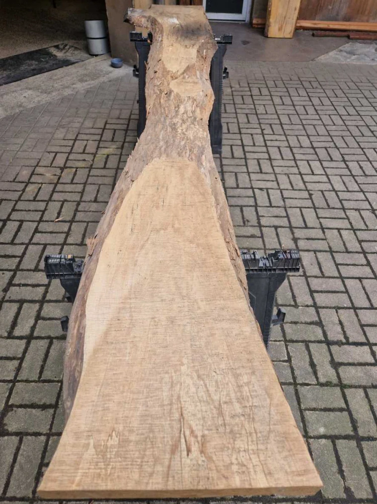 Fošna z jasanu 302cm
